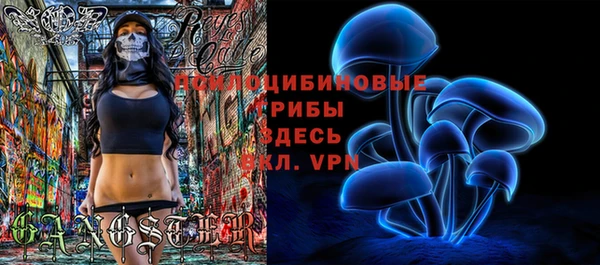 герыч Алексин