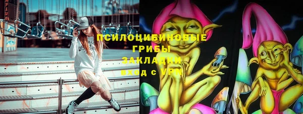 герыч Алексин